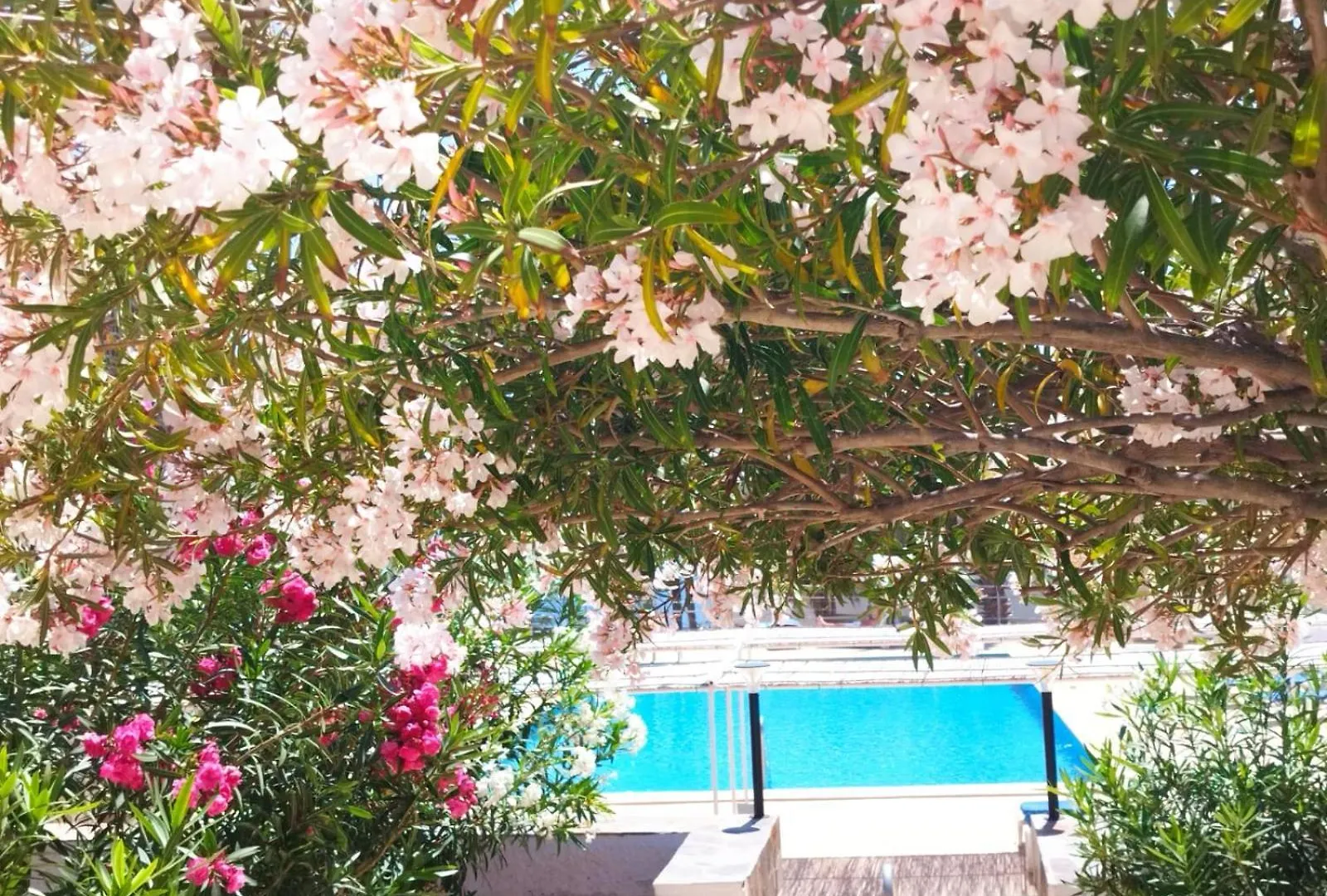 Apartmán Sol Del Sur Ocean View Puerto de Santiago